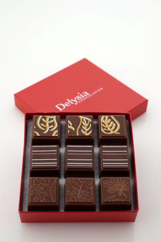 Delysia Chocolatier's Autumn collection featuring apple cider, pecan pie, and pumpkin spice.