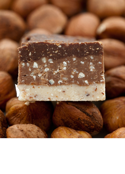 Delysia-Chocolatier_Gianduja_Nut-Chocolate-Austin-Texas-Shop-1p
