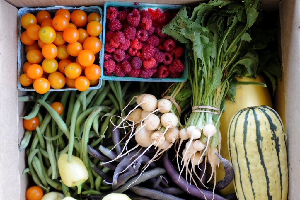Colorful and healthy fruits and veggies should be bought from your local farmer's market. 